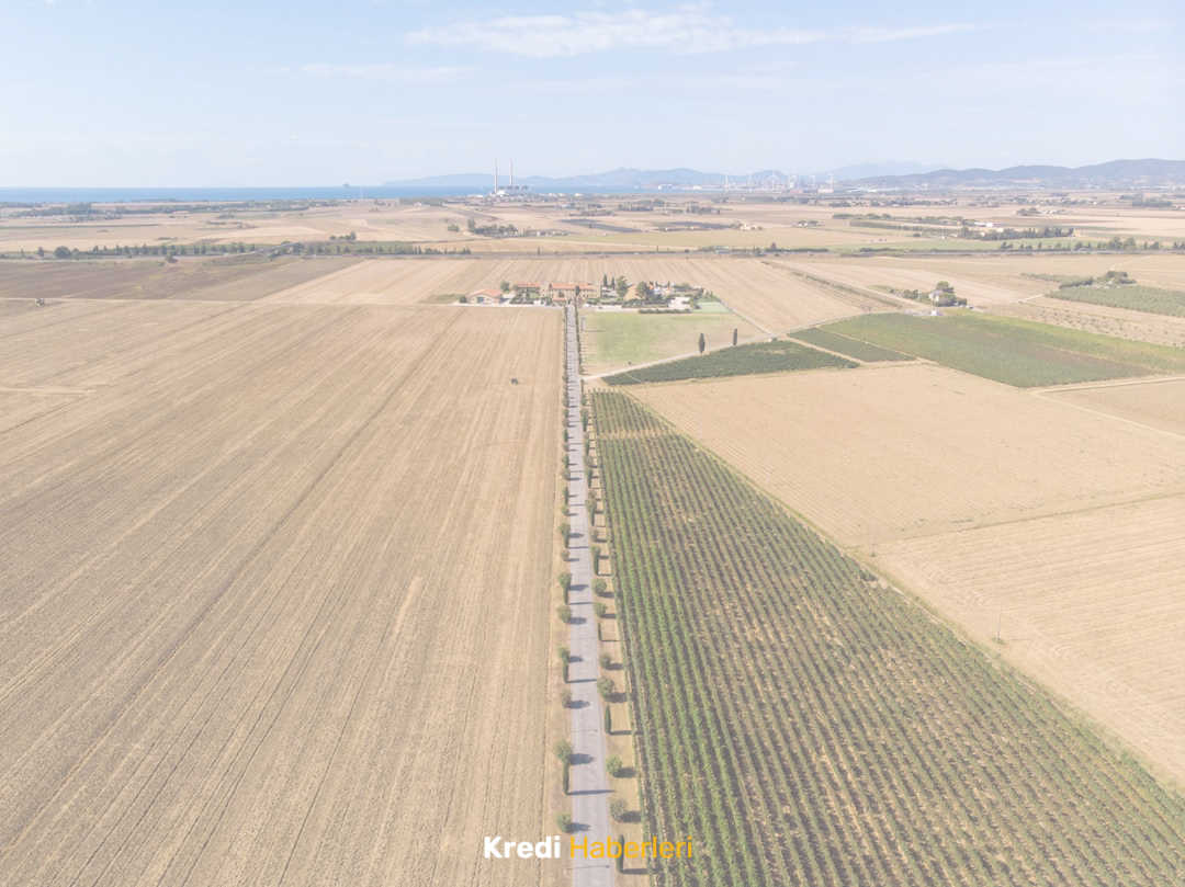 Tarım Kredisi ile Geleceğinizi Şekillendirin: Tarımda Başarıya Giden Yol