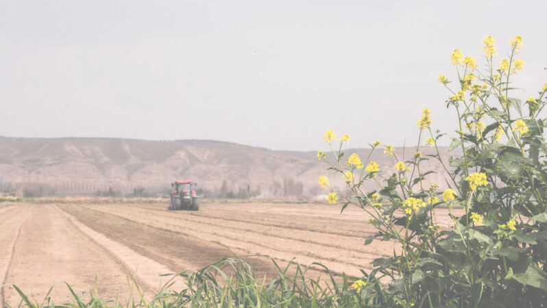 Tarım Kredisi Hesaplama: Üretiminizi Desteklemenin Yolu